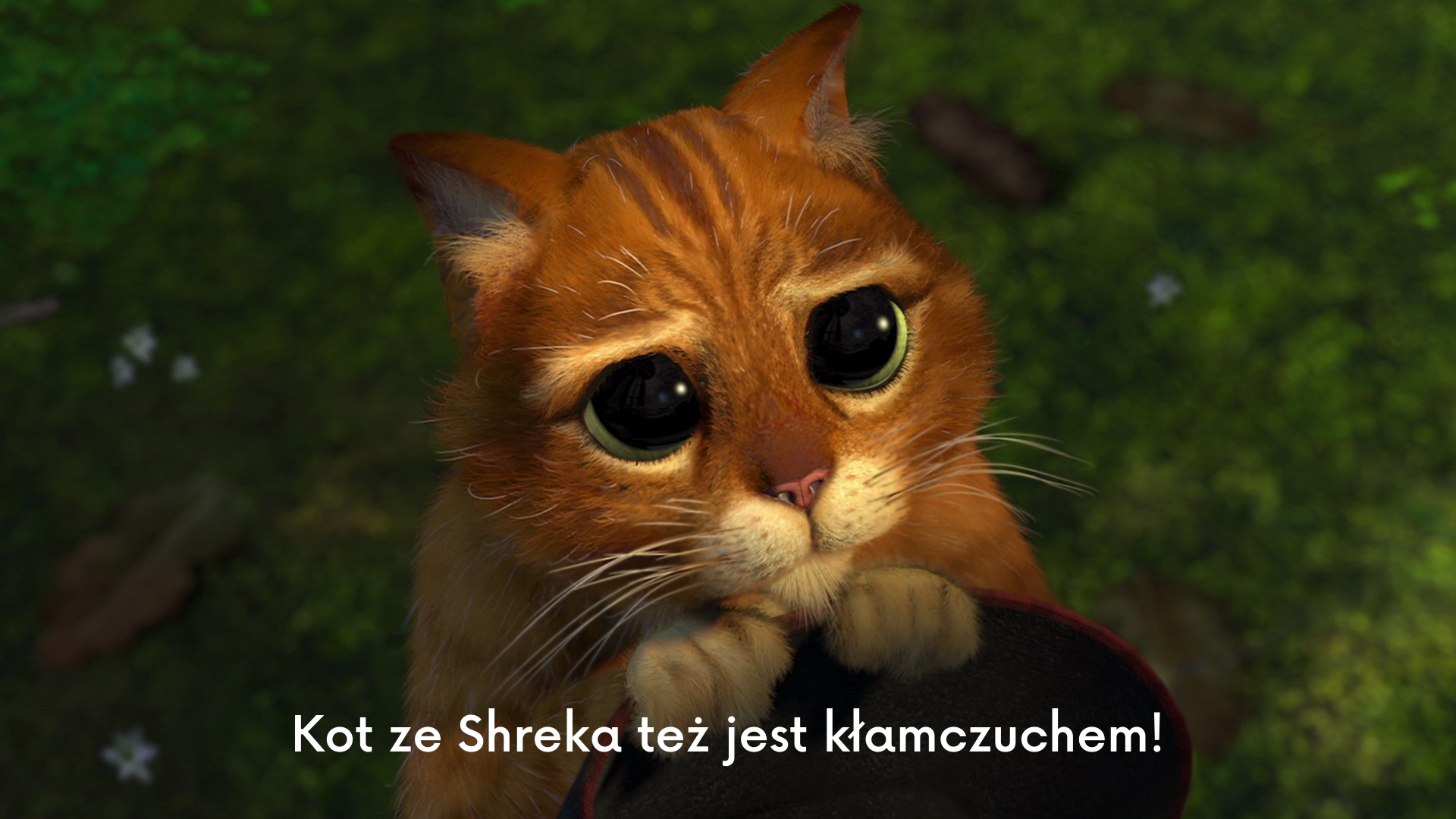 Komunikacja a kłamstwo